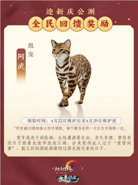 天龙八部私服神兽数量